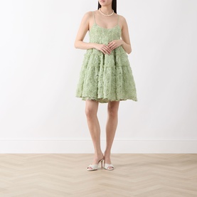 Clover Organza Mini Dress