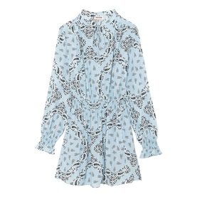 Rayados Printed Mini Dress