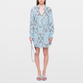 Rayados Printed Mini Dress