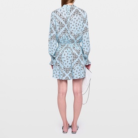 Rayados Printed Mini Dress
