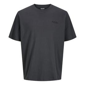 Model wearing dark grey crew neck T-shirt with small script logo print on chest, short sleeves, relaxed fit