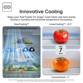 LG 333L Freestanding Fridge Freezer Matte Black innovative cooling diagram showing DoorCooling and LinearCooling technology benefits