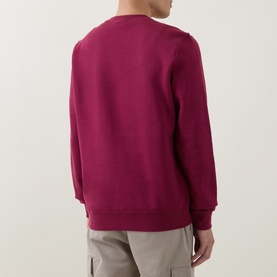 Model wearing Calvin Klein 350 Logo Sweatshirt in Rhododendron, crew neck, ribbed trims, back view, styled with beige trousers