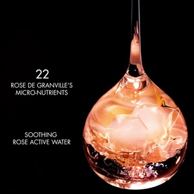 Prestige La Micro-Brume de Rose Exceptional Revitalising Mist
