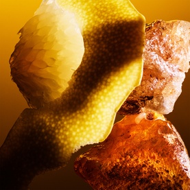 Bulgari Parfum fragrance ingredients featuring raw amber resin and textured citrus peel on a golden background