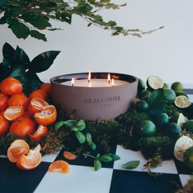Jo Malone Lime Basil & Mandarin Outdoor Candle in a muted pink bowl with three wicks, styled with fresh limes, mandarins and greenery