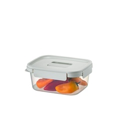 Nest'n'Lock 5-Piece Sage Container Set