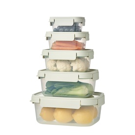Nest'n'Lock 5-Piece Sage Container Set