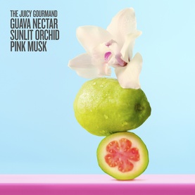 Sol De Janeiro Guava Nectar Sunlit Orchid Pink Musk body lotion fragrance notes shown with guava fruit and orchid flower