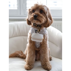 Petite Ring Box for Dog Collars Pebble White