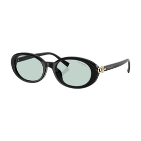 Oval Sunglasses TF4242D