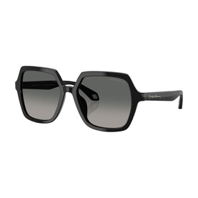 Square Sunglasses AR8193U