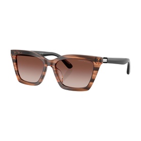 Butterfly Sunglasses EA4250U