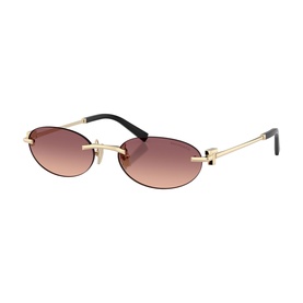 Oval Sunglasses TF3119D