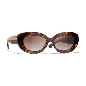 Oval Sunglasses CH5562B
