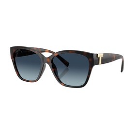 Square Sunglasses TF4254U