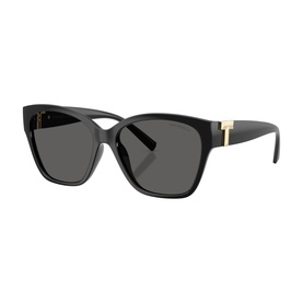 Square Sunglasses TF4254U