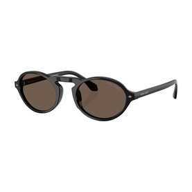 Oval Sunglasses AR8219U