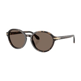 Oval Sunglasses AR8237