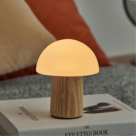 Small mushroom-shaped LED lamp with warm white frosted shade and natural wood-effect base, styled on a book in a living room setting