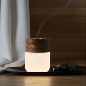 Gingko lamp with dark wood top, warm glowing base and visible mist, displayed on a black tray with car adapter accessory