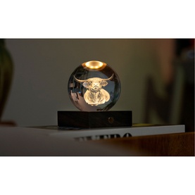 Gingko crystal ball lamp with engraved bull motif, warm amber glow, on dark rectangular base, placed on a shelf