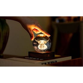 Gingko crystal ball table lamp glowing amber, with visible floral bulb detail, placed on wooden base beside books in dim room