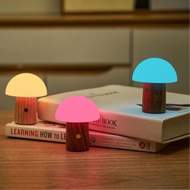 Gingko mushroom-shaped LED lights with wooden bases, glowing in pink, white and blue, displayed on stacked books