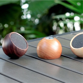 Gingko wooden Bluetooth speakers in three wood-tone finishes displayed on a slate surface with green foliage backdrop