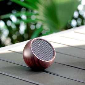 Gingko spherical Bluetooth speaker in dark wood-grain finish, resting on a slatted surface with green foliage background