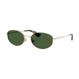 Oval Sunglasses BE3169