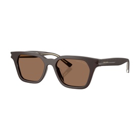 Pillow Sunglasses AR8251U