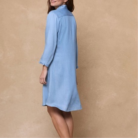 Polly Denim Mini Dress