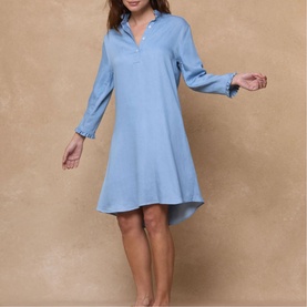 Polly Denim Mini Dress