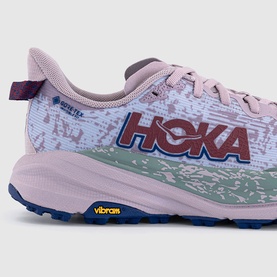 Speedgoat 6 GTX Trainers