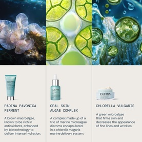 Elemis Power of Pro-Collagen Discovery Collection skincare set, featuring three products with marine ingredient imagery and ingredient descriptions.