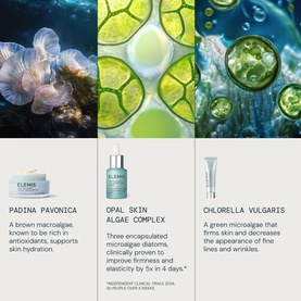 Elemis Pro-Collagen Revitalise & Rejuvenate Routine skincare set with ingredient highlights: Padina Pavonica, Opal Skin Algae Complex, Chlorella