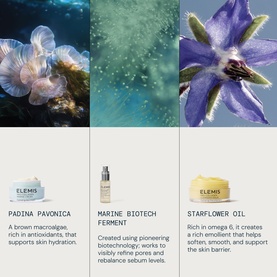 Elemis Pro-Collagen Prep & Replenish Routine skincare set featuring Padina Pavonica, Marine Biotech Ferment, and Starflower Oil ingredients.