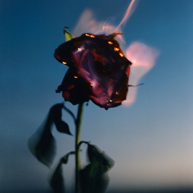 Byredo candle lifestyle shot featuring a dark red rose with glowing burning edges against a dusk blue sky