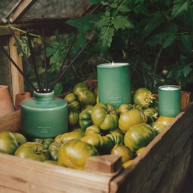 Jo Malone Green Tomato Vine Candles in three sizes, displayed in a wooden crate with green tomatoes and garden foliage.