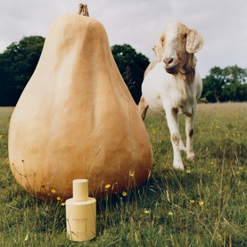 Jo Malone Velvety Butternut Cologne bottle in cream packaging, styled outdoors with a large butternut squash and a goat in a field.