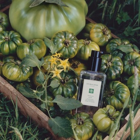 Jo Malone Tomato Leaf Hand Wash bottle nestled among fresh green tomatoes and yellow flowers on a garden tray