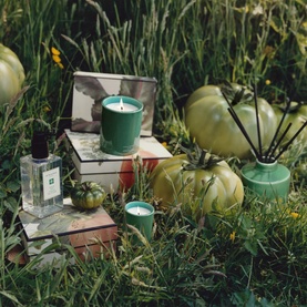 Jo Malone Tomato Leaf collection styled in grass with green candles, reed diffuser, fragrance bottle and heirloom tomatoes
