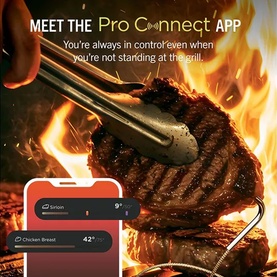 FlexFlame ProConnect Gas BBQ & Outdoor Cooking System