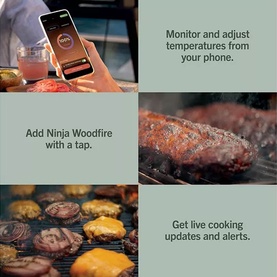 FlexFlame ProConnect Gas BBQ & Outdoor Cooking System