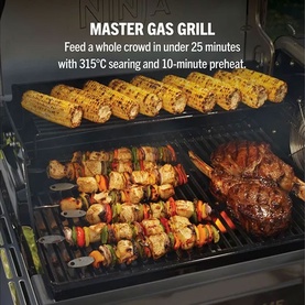 FlexFlame ProConnect Gas BBQ & Outdoor Cooking System