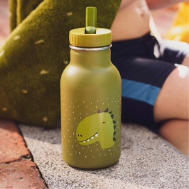 Trixie green stainless steel kids water bottle with dinosaur character print and green straw lid, placed on stone surface
