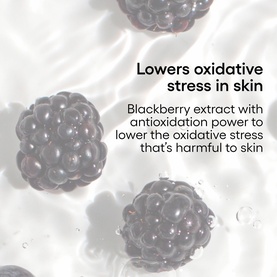 Laneige SPF ingredient highlight showing blackberry extract with antioxidation power to lower oxidative stress harmful to skin