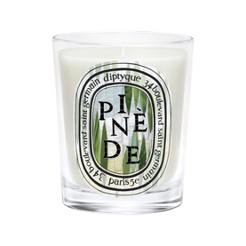 Diptyque Pin&egrave;de scented candle in clear glass vessel with oval pine illustration label, white wax
