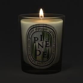 Diptyque Pin&egrave;de scented candle in dark glass vessel with oval label, lit flame, displayed against dark background